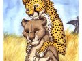 comm_kidogo.jpg